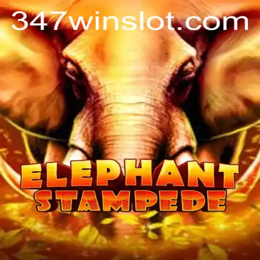 347win.com Casino App