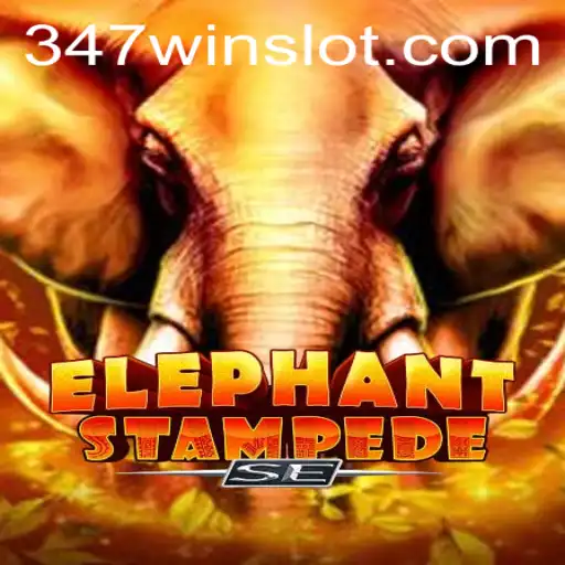 347win.com Casino App